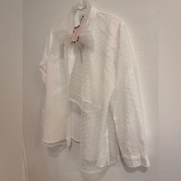 Elegant Dainty Jewells Sheer White Blouse with Bow - Picture 3 of 7